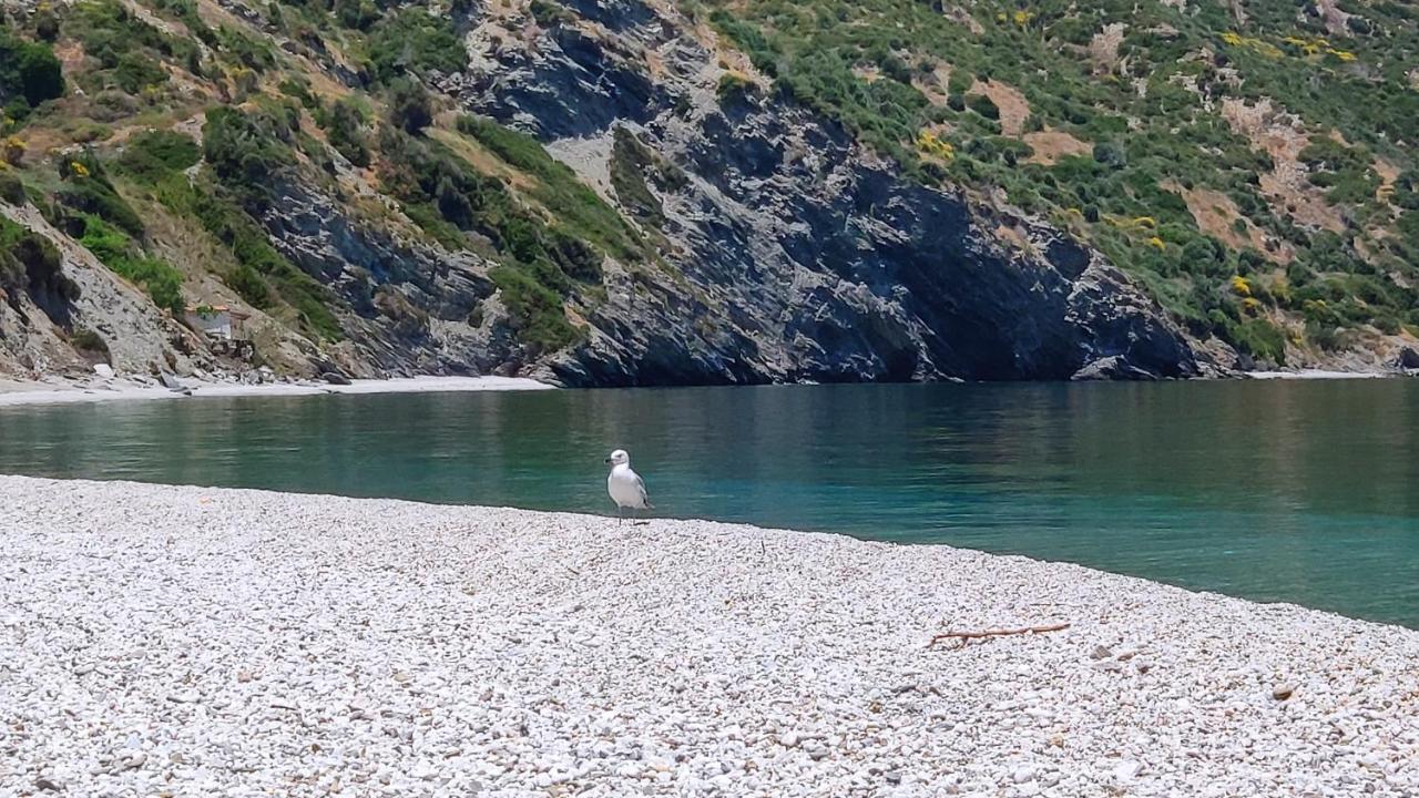 Villa With Aegean Views Akhladherí 외부 사진